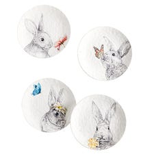 Sketch Art Bunnies Salad Plate Set