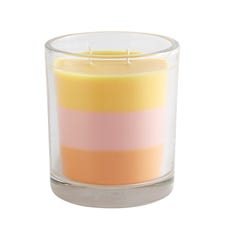 Citrus Layered Filled 2-Wick Candle