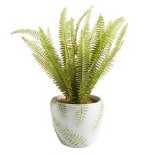 Green Faux Fern Printed Arrangement