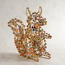 Jeweled Squirrel