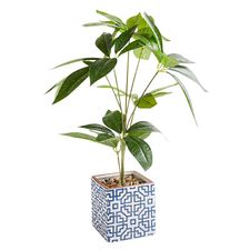 Faux Money Tree Topiary in Geometric Container