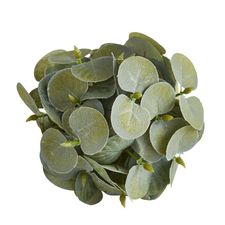 Eucalyptus Decorative Sphere