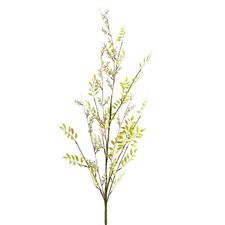 Cream Berry Branch 