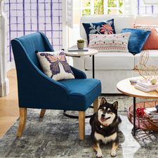 Blue Swoop Armchair 