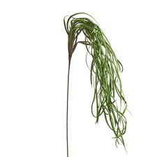 Curly Faux Sea Grass Stem