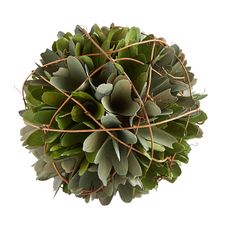 Wood Curl & Vine Decorative Sphere