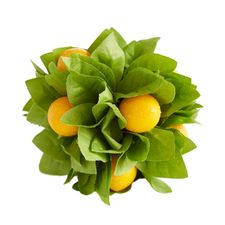 Lemon Decorative Sphere