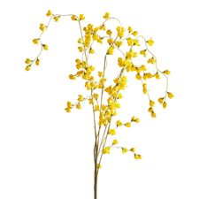Yellow Wild Wax Stem