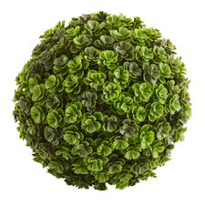 Kalanchoe Succulent Decorative Sphere