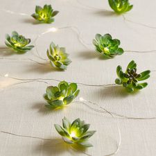 Succulent 10' LED Glimmer Strings®