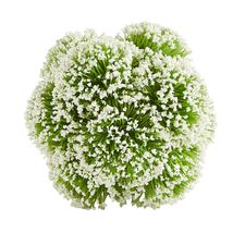 Onion Burst Decorative Sphere