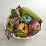 Faux Vegetable Gourd Mix Vase Filler