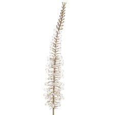 Gold Jeweled Foxtail Stem
