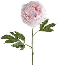 Faux Blush Peony Stem