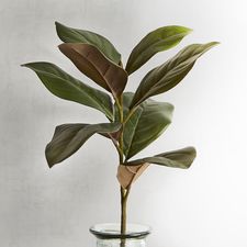 Faux Magnolia Leaves Stem