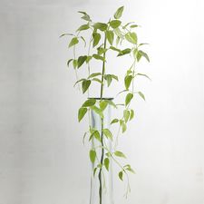Faux Clematis Vine & Ivy Spray