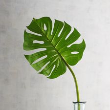 Outdoor Faux Monstera Leaf Stem