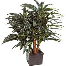 Artificial Massangeana Plant in Pot