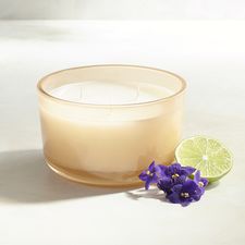 Beechwood Filled 3-Wick Candle