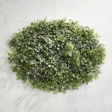 Boxwood Leaves Placemat