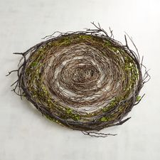 Woven Fern Twigs Placemat 