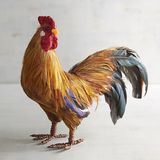 Natural Feather Rooster