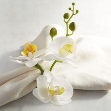 White Orchid Flower Napkin Ring