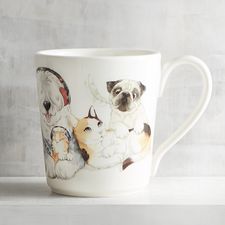 Cats and Dogs Family Mug