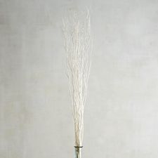 Oversized Faux White Curly Willow Bundle