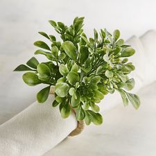 Boxwood Napkin Ring