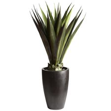 44" Faux Agave Plant in Pot