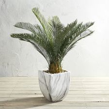 Outdoor Potted 38" Faux Cycas
