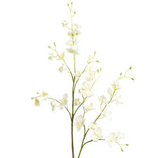 Faux Cream Phalaenopsis Spray