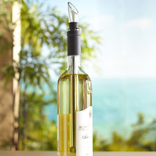 Wine Chiller with Pour Spout